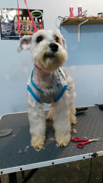Tienda de animales Angel De Tu Mascota