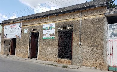Tienda de animales Animanía