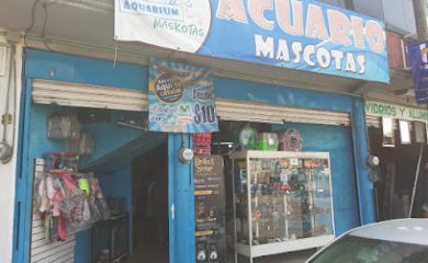 Tienda de animales Aquarium and Maskotas Ocotlan