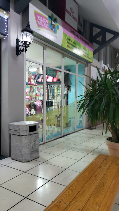 Tienda de animales Clínica veterinaria Mascotlán