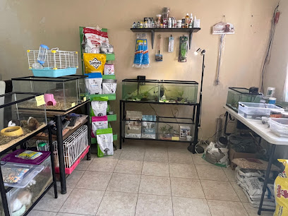 Tienda de animales Cosmo Pez