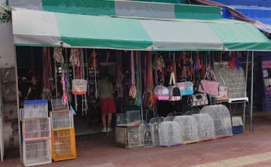 Tienda de animales DIVERSIS FAUNA ACUARIO - Sucursal Tamulte