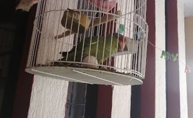 Tienda de animales Forrajera Atotonilco