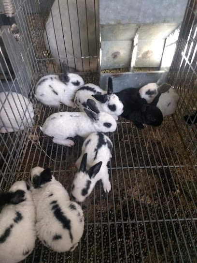 Tienda de animales Granja De Conejos Maranatha