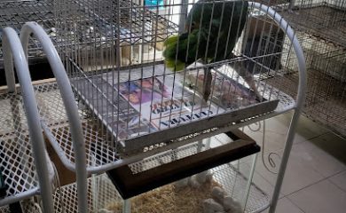Tienda de animales La Casita Del Roedor