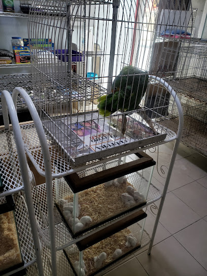 Tienda de animales La Casita Del Roedor