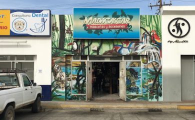 Tienda de animales Madagascar