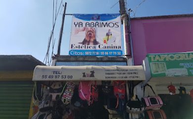 Tienda de animales MasContento
