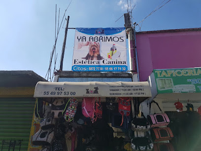 Tienda de animales MasContento