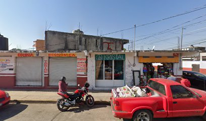 Tienda de animales Mundo Mascota