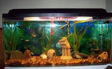 Tienda de animales Peludos Pet Shop