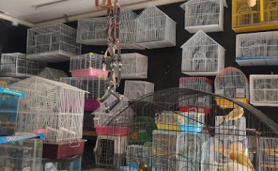 Tienda de animales Pet Shop Jocotepec