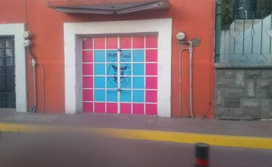 Tienda de animales Pétit coco