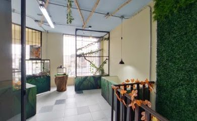 Tienda de animales Reino Animal De Baly