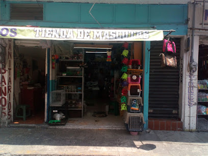 Tienda de animales Tienda de mascotas buyon