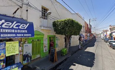 Tienda de animales Tienda de mascotas mundo marino