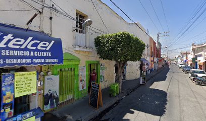 Tienda de animales Tienda de mascotas mundo marino
