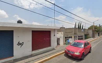 Tienda de animales WIGI WALK