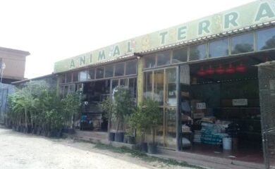 Tienda de mascotas Animal Terra