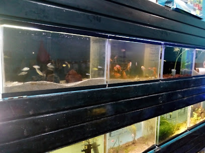 Tienda de peces tropicales Acuario Auakan