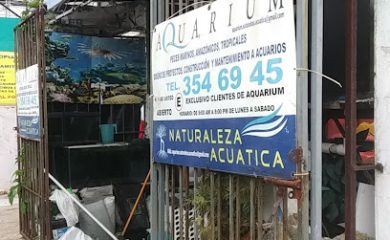Tienda de peces tropicales Aquarium Naturaleza Acuatica