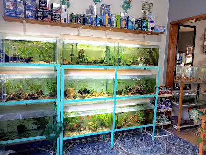 Tienda de peces tropicales Aquarius. Peces y Mascotas