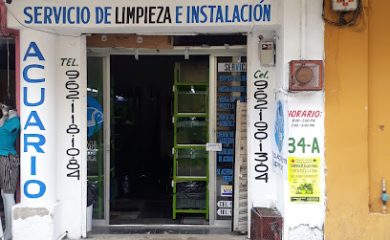 Tienda de peces tropicales MIAMI ACUARIO