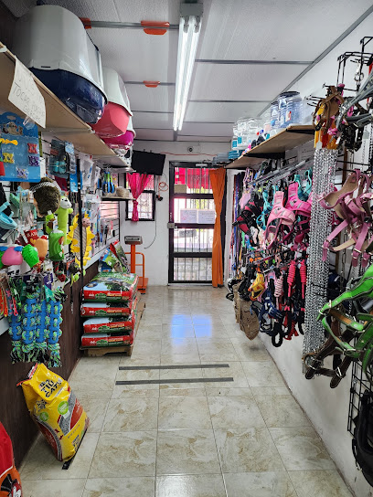 Tienda de productos para mascotas Accesorios & Novedades para mascota Militar