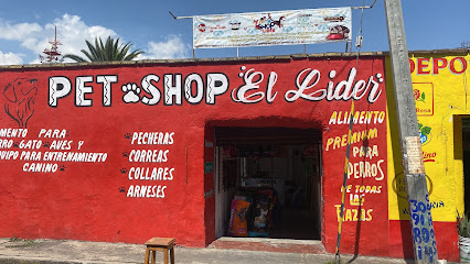Tienda de productos para mascotas Accesorios caninos El líder