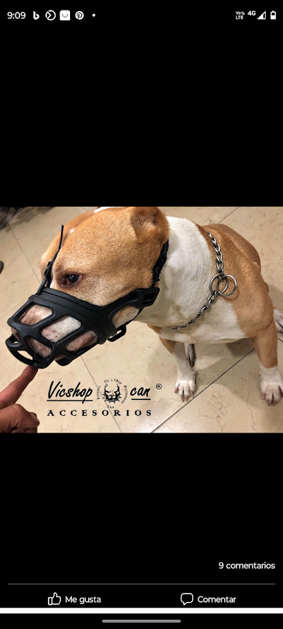Tienda de productos para mascotas Accesorios para mascota