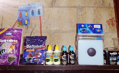 Tienda de productos para mascotas Acuario En Casa De Juan Cab