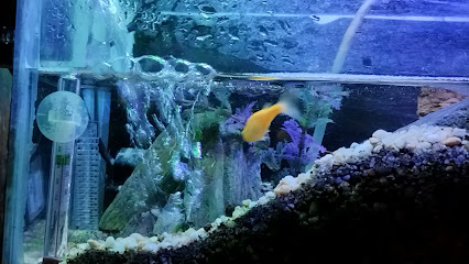 Tienda de productos para mascotas Acuario Gamu