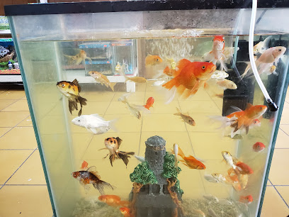 Tienda de productos para mascotas Acuario HappyPet