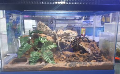 Tienda de productos para mascotas Acuario Planeta Azul