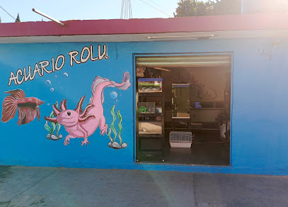 Tienda de productos para mascotas Acuario Rolu