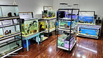 Tienda de productos para mascotas Acuario Severum