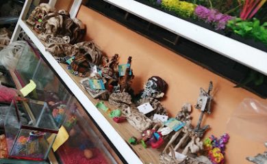 Tienda de productos para mascotas Acuario Tiburoncin