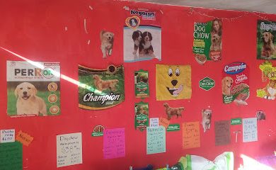 Tienda de productos para mascotas Alimentos y acsesorios para mascota moly
