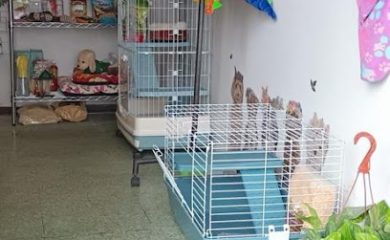 Tienda de productos para mascotas Animal Depot