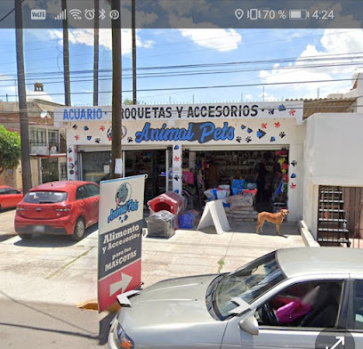 Tienda de productos para mascotas Animal pets