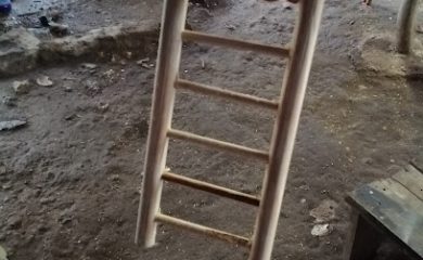 Tienda de productos para mascotas Aves Cubis
