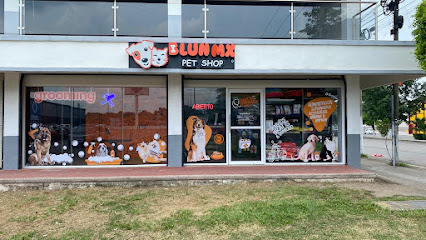 BLUN MX – PLAZA MORO en Cárdenas