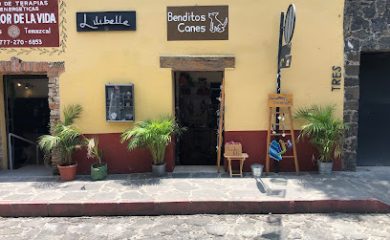 Tienda de productos para mascotas Benditos Canes