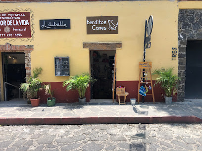 Tienda de productos para mascotas Benditos Canes