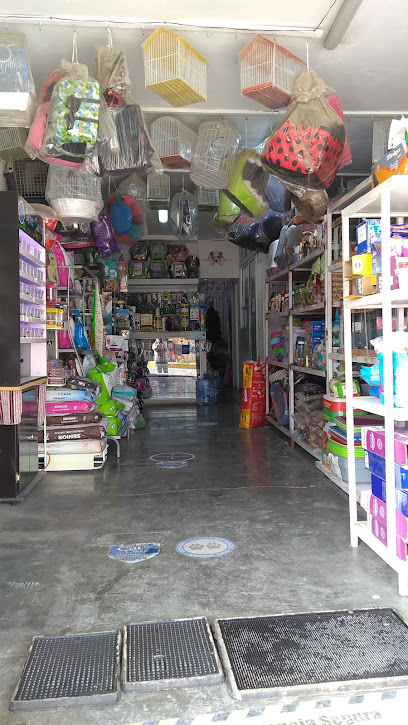 Tienda de productos para mascotas Bicu Pet Fashion, artículos para todo tipo de mascotas, servicio veterinario. Puebla