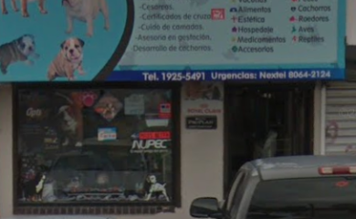Tienda de productos para mascotas Cachorros Monterrey