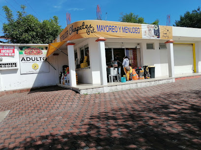 Tienda de productos para mascotas Chapetes Pet Tlaxcala