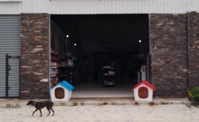 Tienda de productos para mascotas Colitas Pet Supply Libramiento Ajijic-chapala