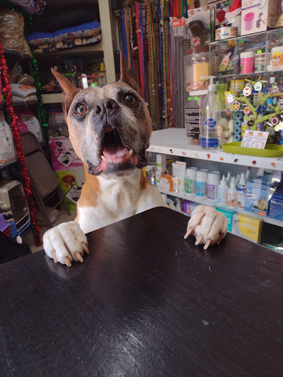 Tienda de productos para mascotas Croketown Puebla