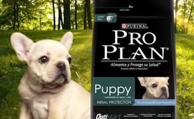 Tienda de productos para mascotas Croquetas a domicilio Don Perruchon